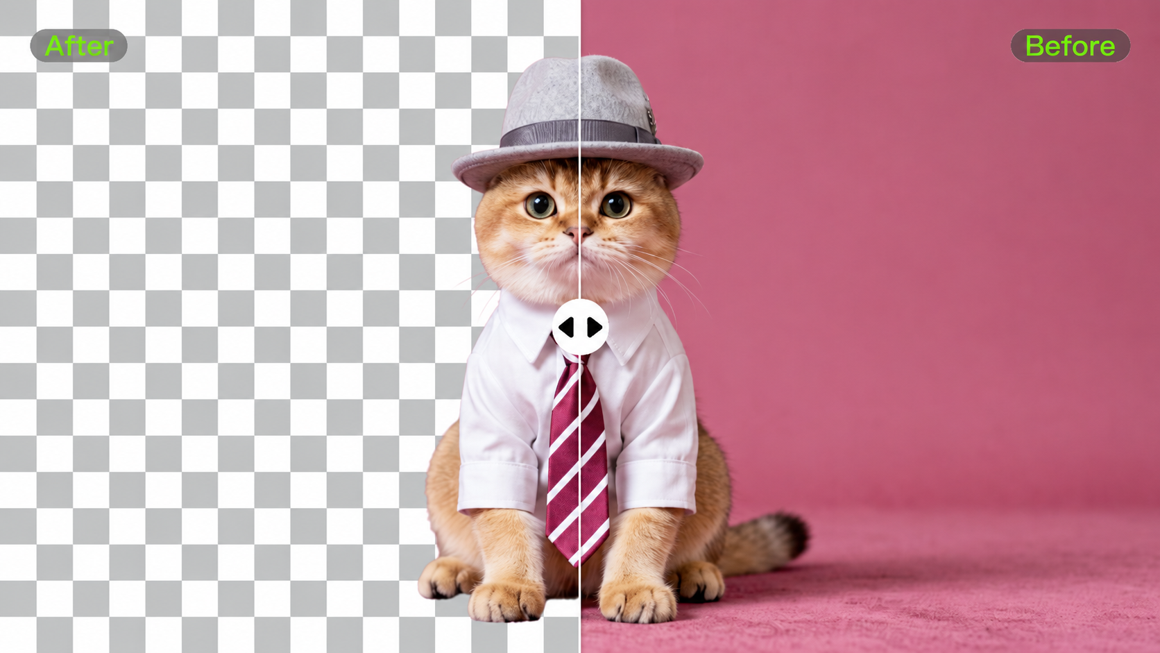 Best Background Remover for Images and Videos